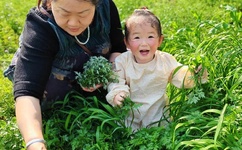 迈开腿打扑克又疼又叫视频